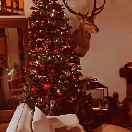 Chalet Og Harfe *